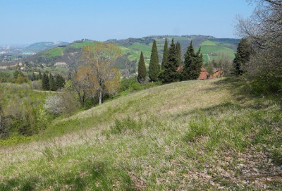 immagine evento